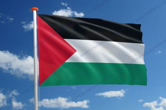 Vlag Palestina