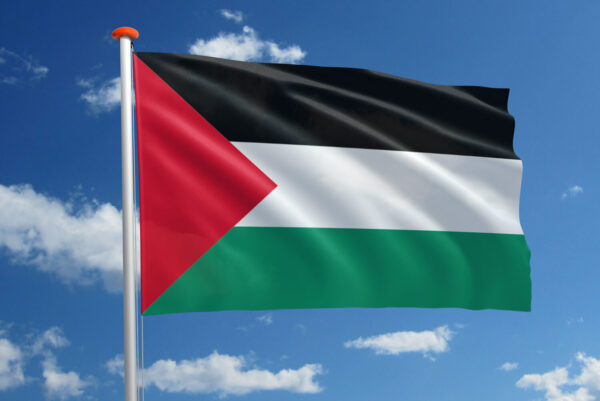 Vlag Palestina