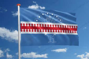 Dorpsvlag Angeren