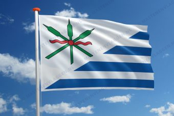 Dorpsvlag Anjum