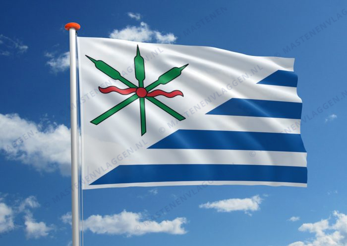 Dorpsvlag Anjum