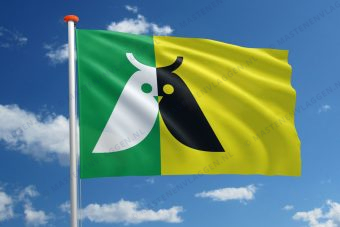 Dorpsvlag Annen