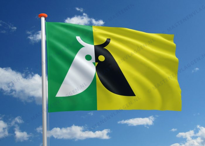 Dorpsvlag Annen