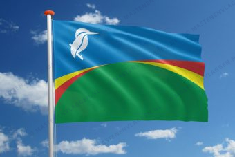 Dorpsvlag Biddinghuizen