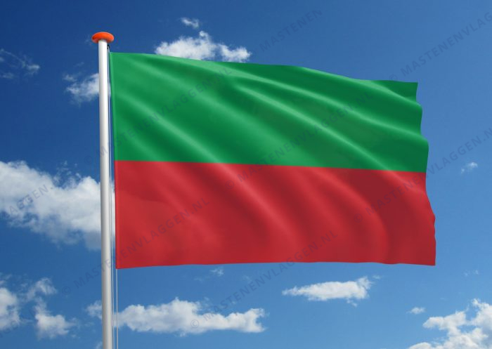 Dorpsvlag Breskens