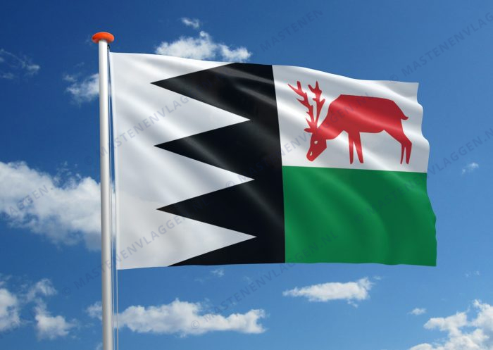 Dorpsvlag Bruinisse