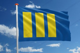 Dorpsvlag Budel