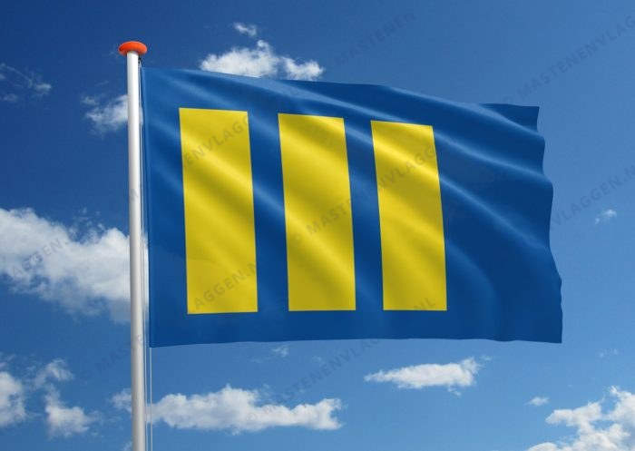 Dorpsvlag Budel