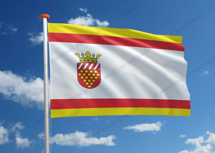 Dorpsvlag De Wijk