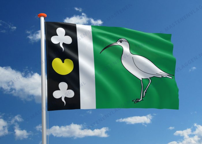 Dorpsvlag De Wilp