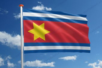 Dorpsvlag Eenrum