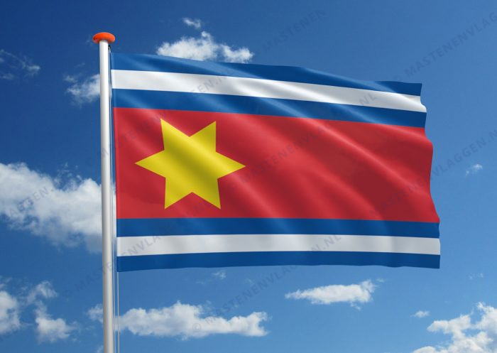 Dorpsvlag Eenrum