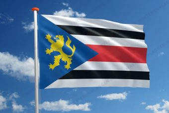Dorpsvlag Finsterwolde
