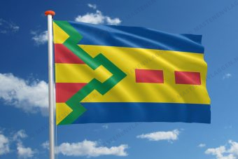 Dorpsvlag Frieschepalen