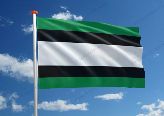 Dorpsvlag Heino
