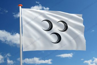 Dorpsvlag Lekkerkerk