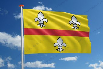 Dorpsvlag Loenen