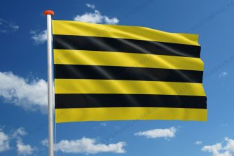 Dorpsvlag Meerkerk