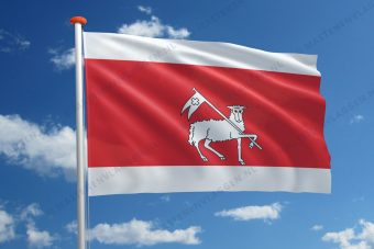 Dorpsvlag Mijdrecht