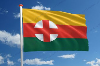 Dorpsvlag Moergestel