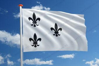 Dorpsvlag Puttershoek