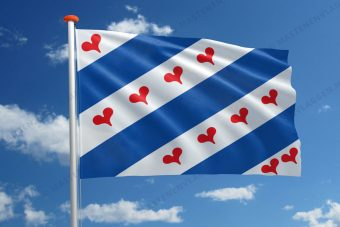 Streekvlag Ommelanden