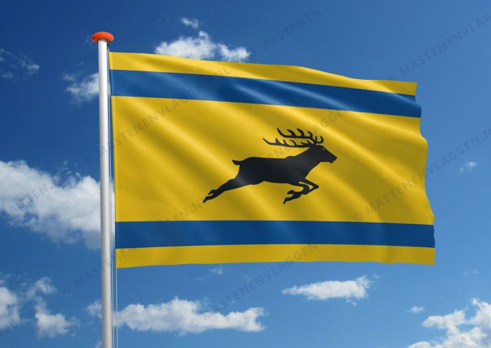 Streekvlag Veluwe