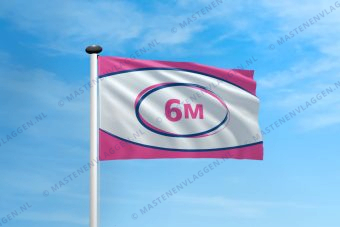 Polyester vlag mast 6 meter