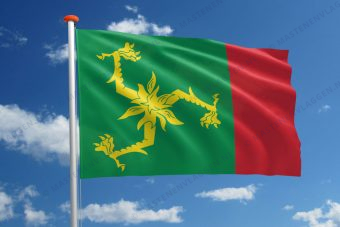 Dorpsvlag Aegum