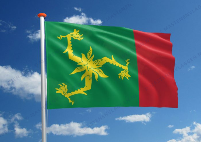 Dorpsvlag Aegum