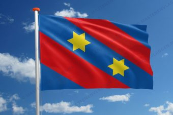 Dorpsvlag Baard