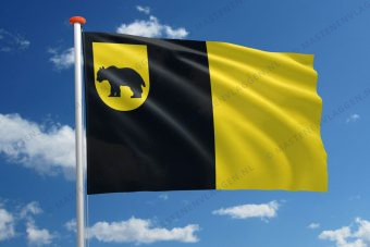 Dorpsvlag Baarland