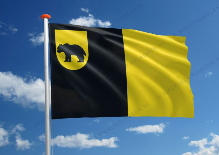 Dorpsvlag Baarland