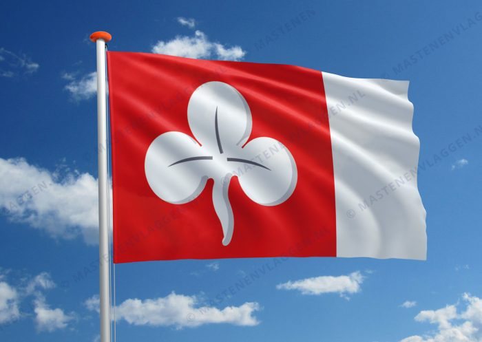 Dorpsvlag Deersum