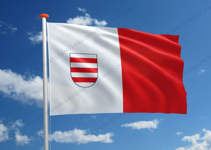 Dorpsvlag Driewegen