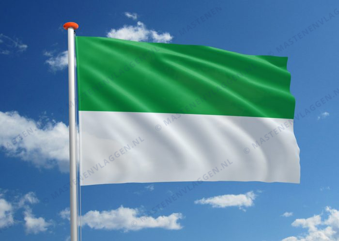 Dorpsvlag Eenum