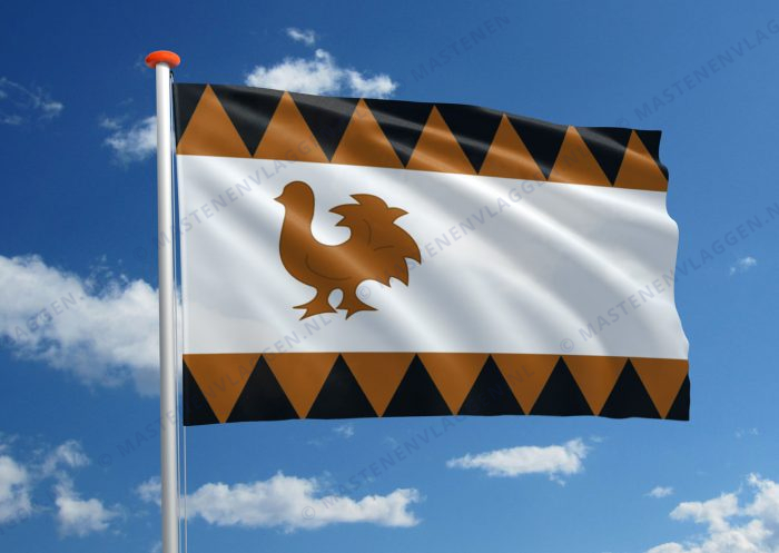 Dorpsvlag Fochteloo