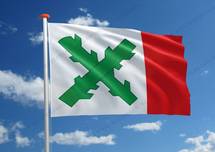 Dorpsvlag Friens