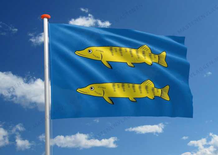 Dorpsvlag Grootschermer
