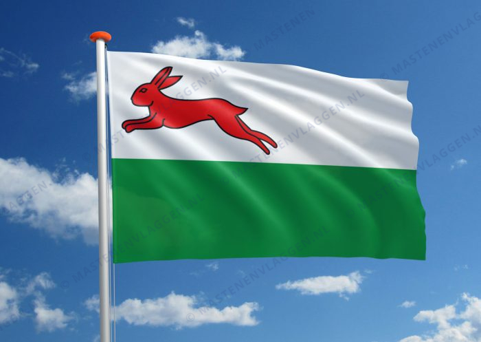 Dorpsvlag Haskerhorne