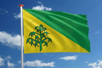 Dorpsvlag Hiaure