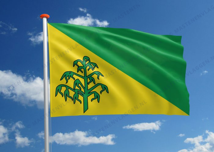 Dorpsvlag Hiaure