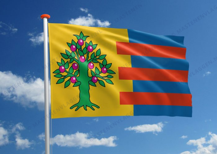 Dorpsvlag Hitzum