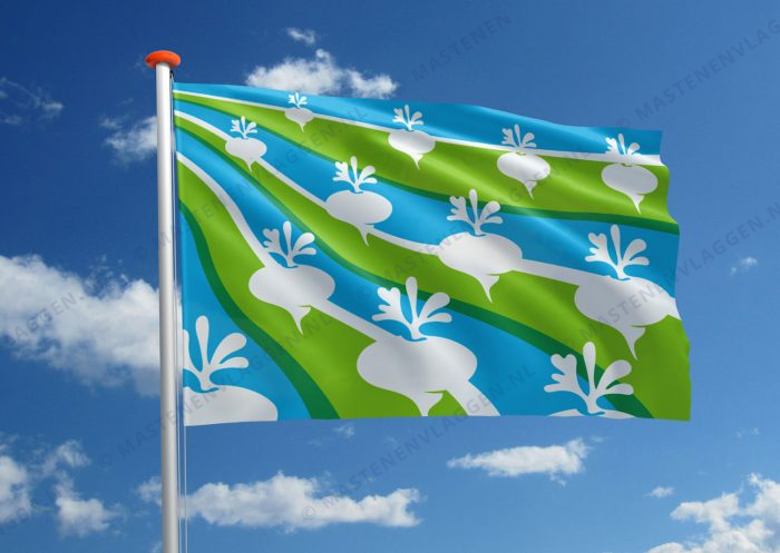 Dorpsvlag Oostknollendam