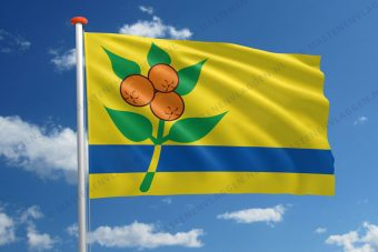 Dorpsvlag Oranjewoud