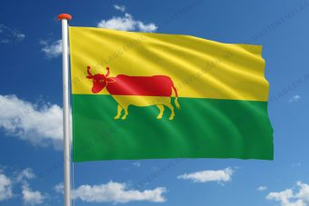 Dorpsvlag Ossenisse