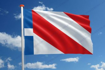 Dorpsvlag Schettens
