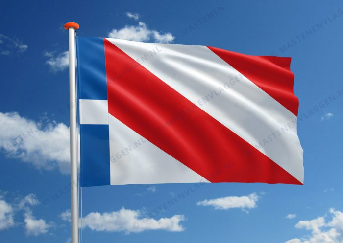Dorpsvlag Schettens