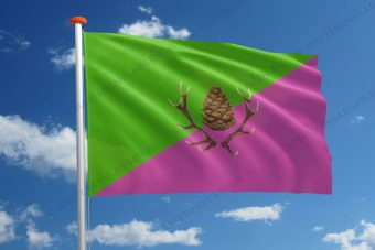 Dorpsvlag Stroe