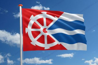Dorpsvlag Teerns